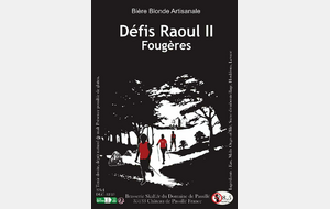 Lot de 3 packs de 3 bières des Défis 2025