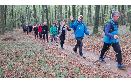 Séances découvertes ... et après